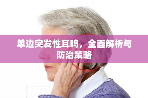 单边突发性耳鸣,全面解析与防治策略