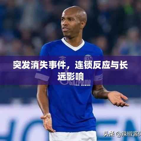 突发消失事件,连锁反应与长远影响