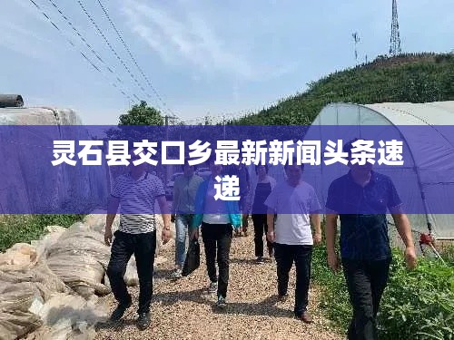灵石县交口乡最新新闻头条速递