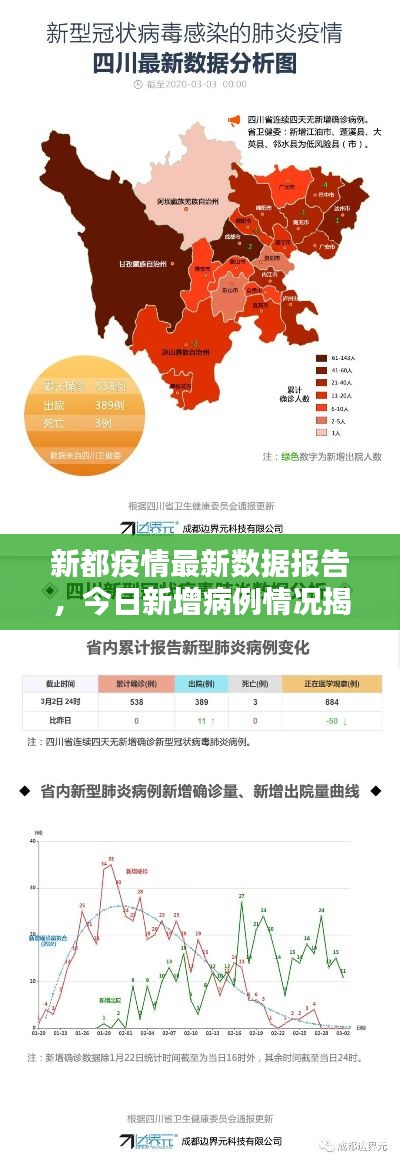 新都疫情最新数据报告,今日新增病例情况揭秘