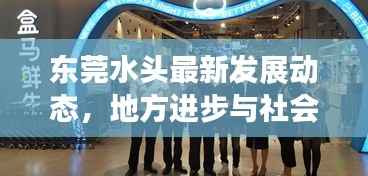 东莞水头最新发展动态,地方进步与社会焦点一网打尽