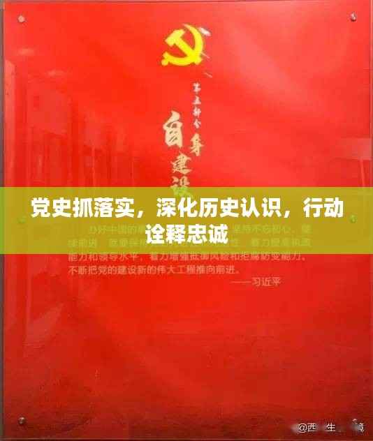 党史抓落实，深化历史认识，行动诠释忠诚