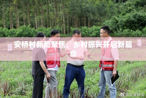 安桥村新闻聚焦,乡村振兴开启新篇章